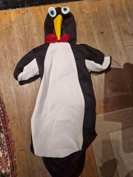 Photo of free Dressing up clothes (Tooting SW17) #4
