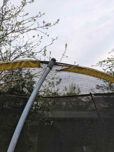 Photo of free 8' trampoline (Girton CB3) #3
