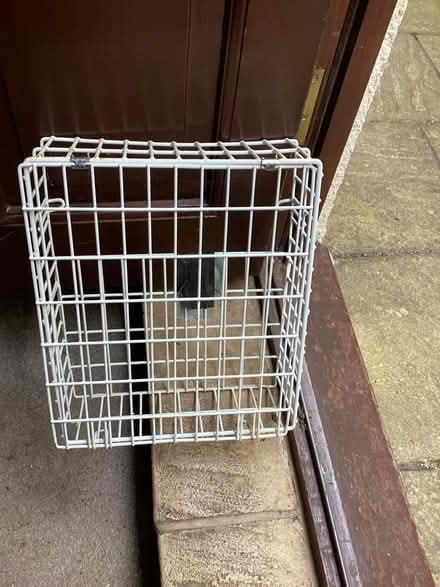 Photo of free Inside secure letter box (Axminster) #1