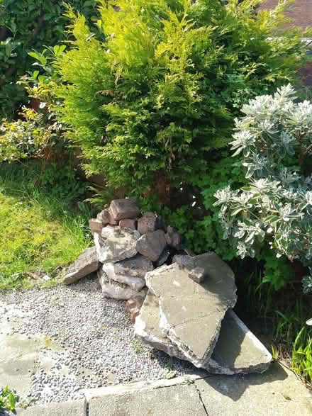 Photo of free Rubble (Salem OL4) #1