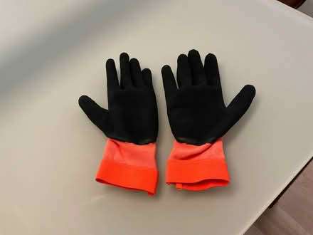 Photo of free Work gloves (The Glebe) #2