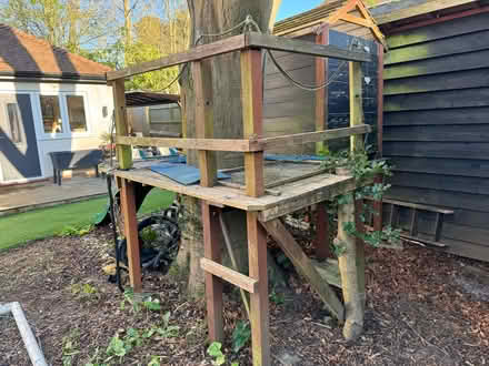 Photo of free Tree house (Twyford RG10) #3