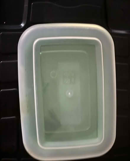 Photo of free Asda food storage containers (2) (Castle, CW8) #3