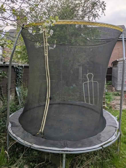 Photo of free 8' trampoline (Girton CB3) #1