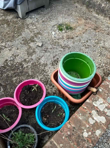 Photo of free Colourful plastic pots (St Leonard’s) #1
