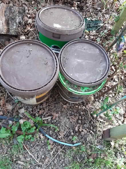 Photo of free Empty buckets (Salfords RH1) #1