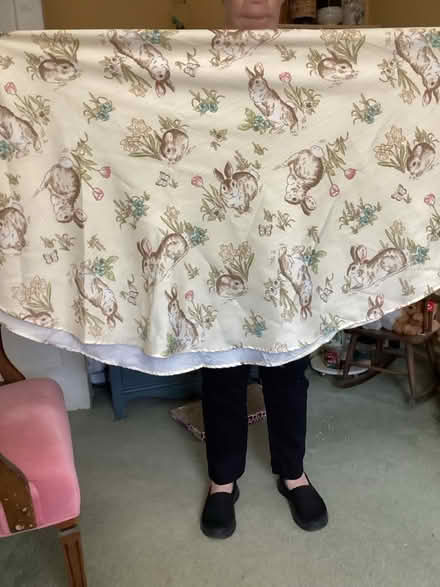 Photo of free Easter tablecloth (Prospect Park) #1