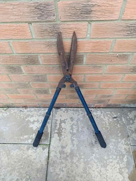 Photo of free Shears (CO12) #1