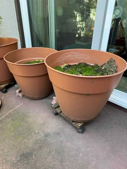 Photo of free Pots, hangers and tomato cages (Santa Clara) #1