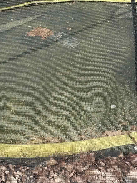 Photo of free Trampoline - 10ft (I think!) (Uffington SN7) #2