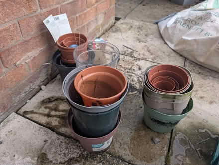 Photo of free Selection of potting pots (Crewe CW1) #1