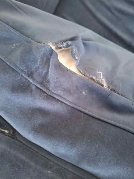 Photo of free Chaise longue (Ilford IG1) #1
