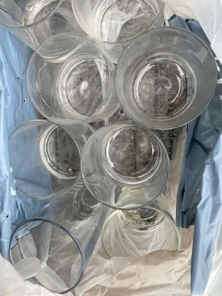 Photo of free Assorted glasses and tumblers (Worsley M28) #2