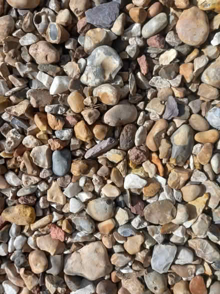Photo of Shingle (ME8) #1
