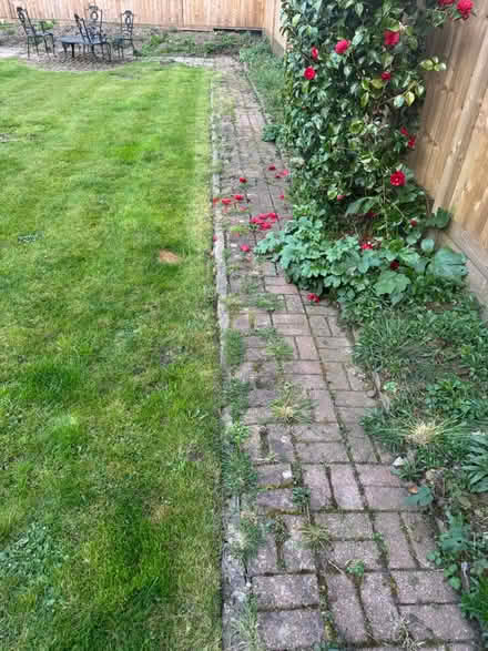 Photo of free Garden Paving Blocks (Cardiff) #1