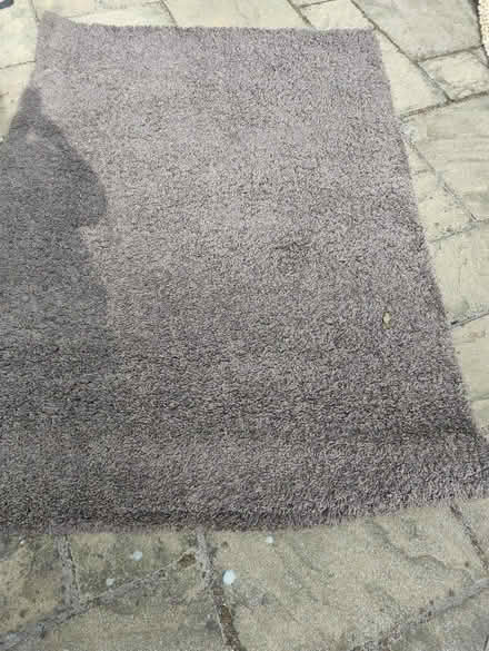 Photo of free Rug (SE9) #2