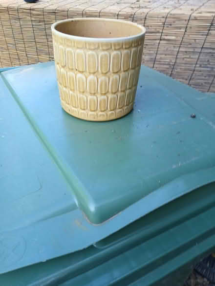 Photo of free Yellow plant pot (TW12) #1