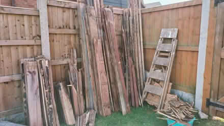Photo of free wood (CO11) #4