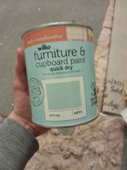 Photo of free Duck egg paint (Tettenhall WV6) #1