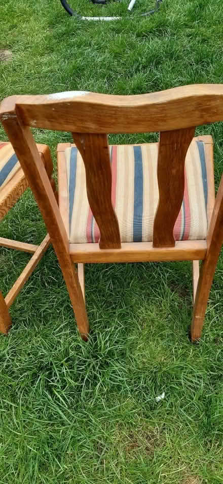 Photo of free 2 dining room chairs (HP21 Aylesbury) #4