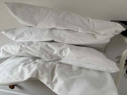 Photo of free 4 synthetic pillows - Great condition in washable covers (Prestwick NE20) #1