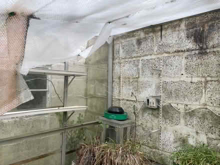 Photo of free Greenhouse (Cheltenham GL52) #3