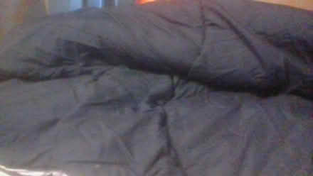 Photo of free excess bedding (BA2) #1
