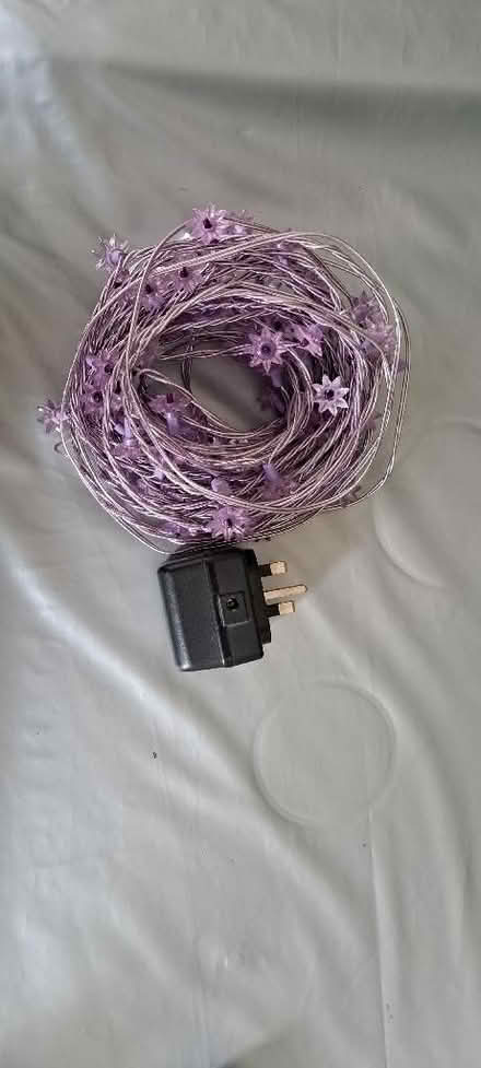 Photo of free Purple Fairy Lights (Sion Hill) #1