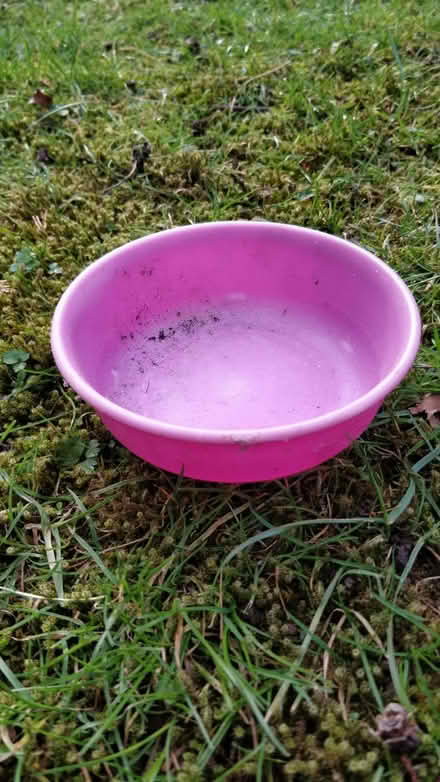 Photo of free Beech/Sandpit/Play Cooking Toys (Harrogate HG2) #4