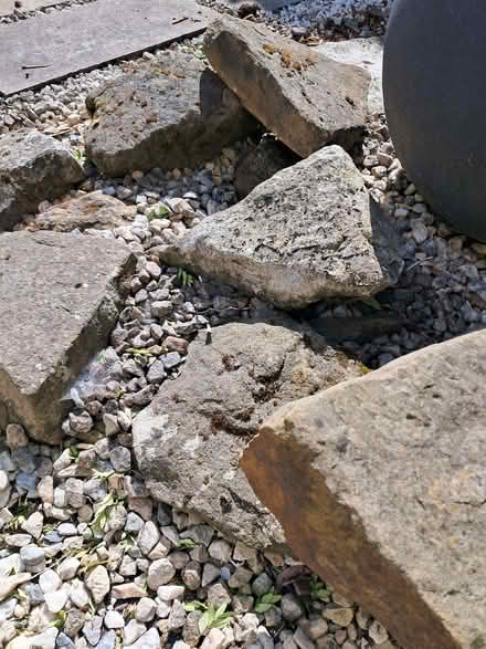 Photo of free Various stones/boulders (Greenhill S8) #1