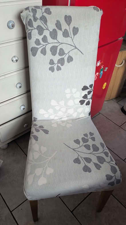 Photo of free Dining Chairs (Penrith CA11) #1