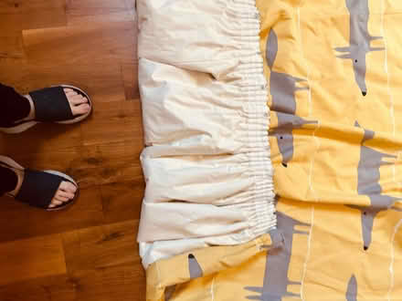 Photo of free Curtains (Stockport) #3