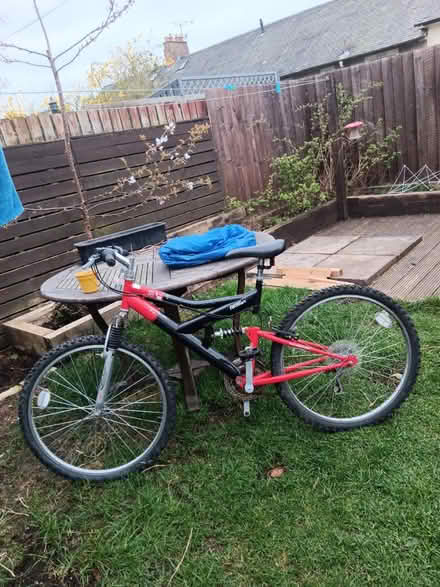 Photo of free Mid size bike (Eh166dd) #2