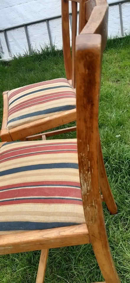 Photo of free 2 dining room chairs (HP21 Aylesbury) #3