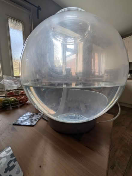 Photo of free Biorb tank (Berkhamsted HP4) #1