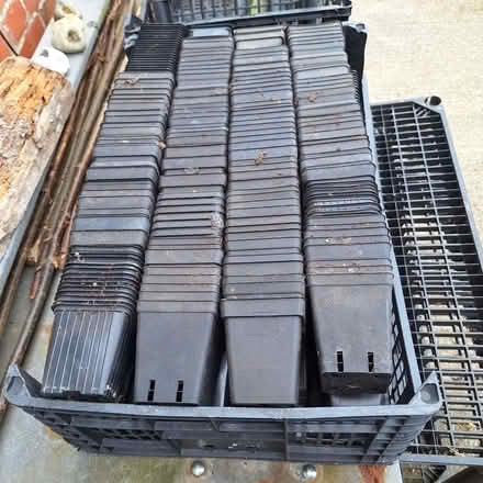 Photo of free Crate of 8 x 8cms square plant pots (Rother TN35) #1