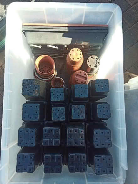 Photo of free Plastic plant pots (Drylaw EH4) #1