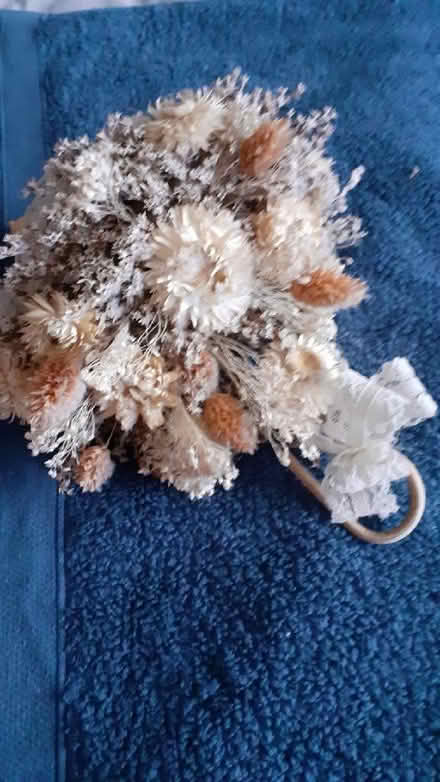 Photo of free dried flowers (Heaton NE6) #2