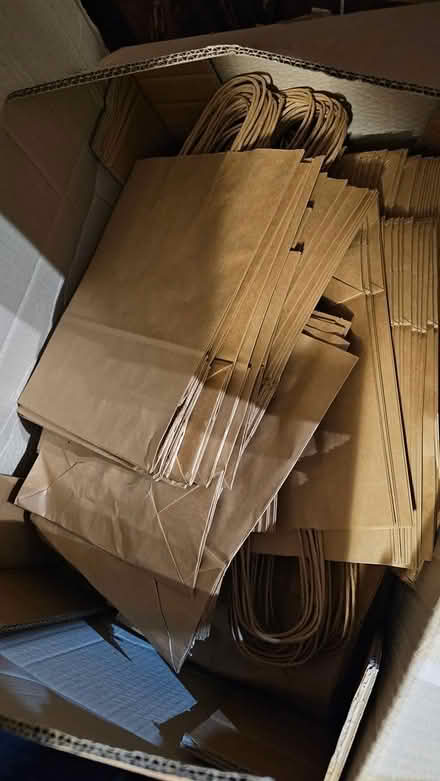 Photo of free Brown paper bags (Wigmore, Gillingham) #1