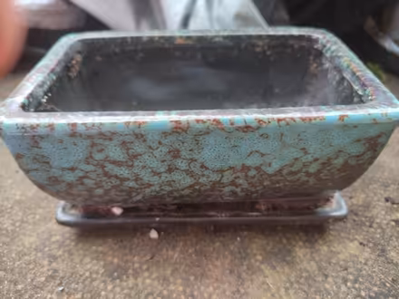 Photo of free Small ceramic plant pots/dish (Weybridge, KT13) #1
