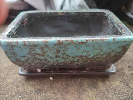 Photo of free Small ceramic plant pots/dish (Weybridge, KT13) #1