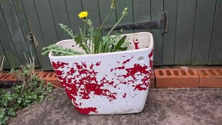 Photo of free Novelty toilet cistern planter (Mousehold NR3) #1