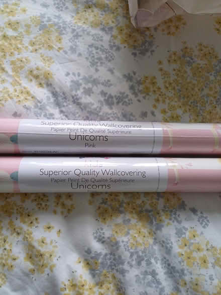 Photo of free Pink unicorn wallpaper (Paignton TQ3) #1