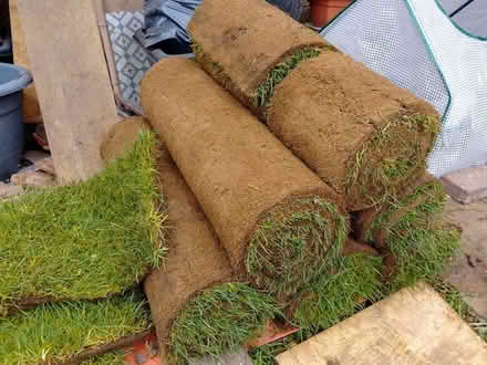 Photo of free Turf spare rolls (Teddington TW11) #1