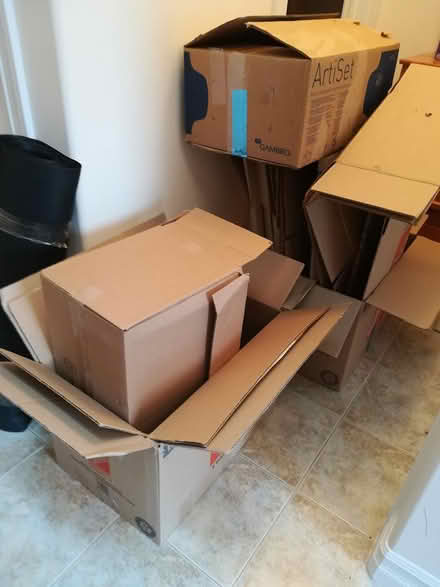 Photo of free moving/packing Boxes (Dartmouth) #2