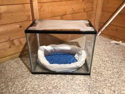 Photo of free Small Glass Fish Tank (KT18 Headley, EPSOM.) #1