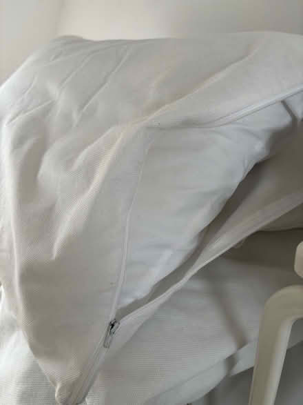 Photo of free 4 synthetic pillows - Great condition in washable covers (Prestwick NE20) #2