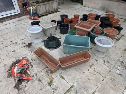 Photo of free Loads of plan pots (HA9 9h) #1