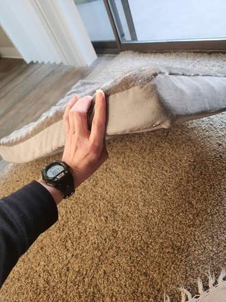 Photo of free Furhaven Plosh grey Pet bed (Kirkland, WA) #2