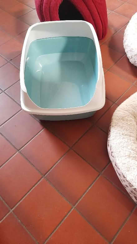 Photo of free Cat beds and litter tray (Broseley TF12) #2